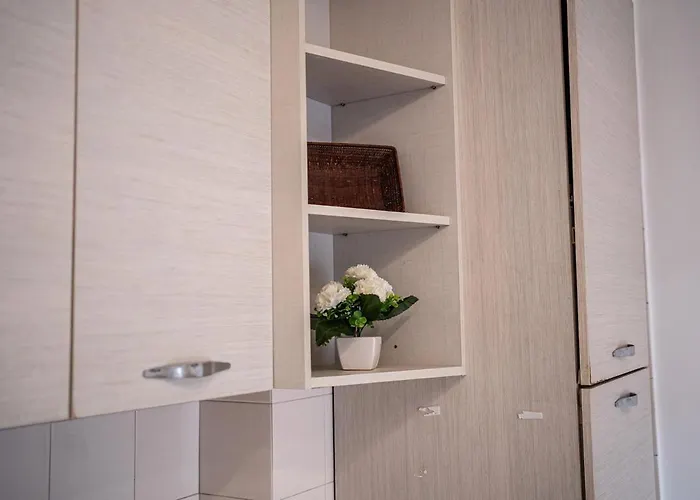 Trilo Verdi - Salento Reservation Gallipoli